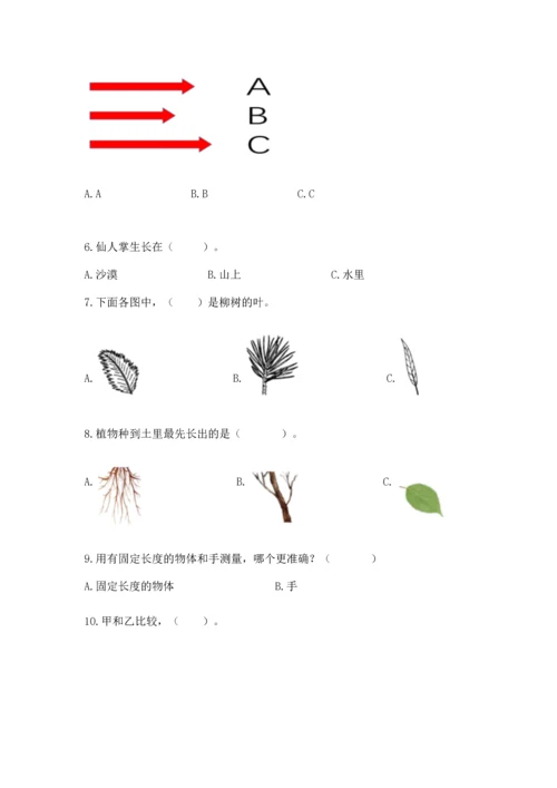 教科版一年级上册科学期末测试卷附参考答案（研优卷）.docx