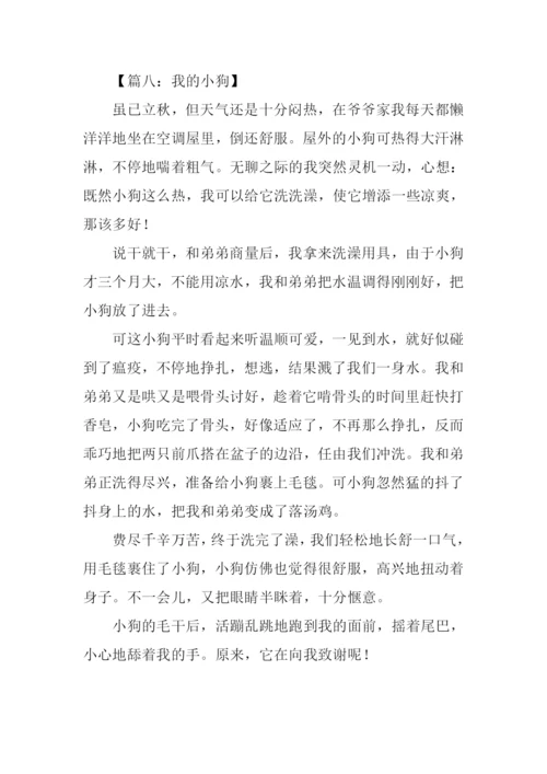 我的小狗作文450字.docx