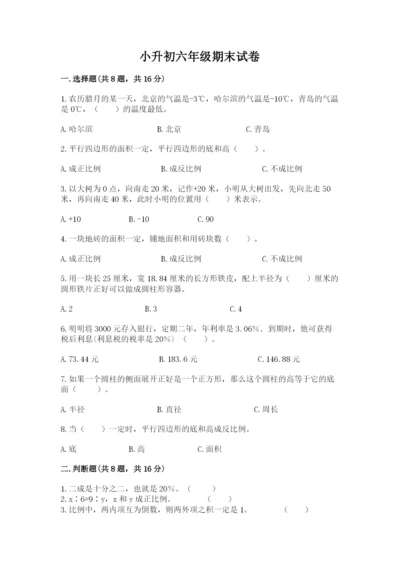 小升初六年级期末试卷精品（巩固）.docx