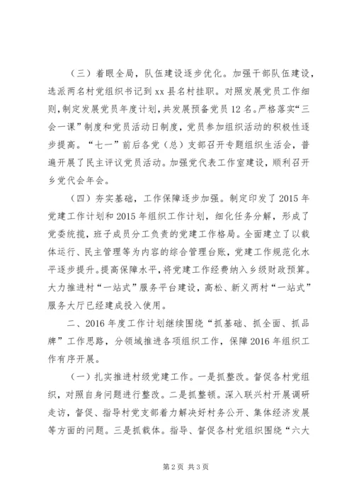 乡镇组织办年度工作总结及工作计划.docx