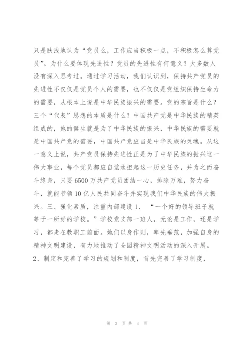 幼儿园党支部工作总结.docx