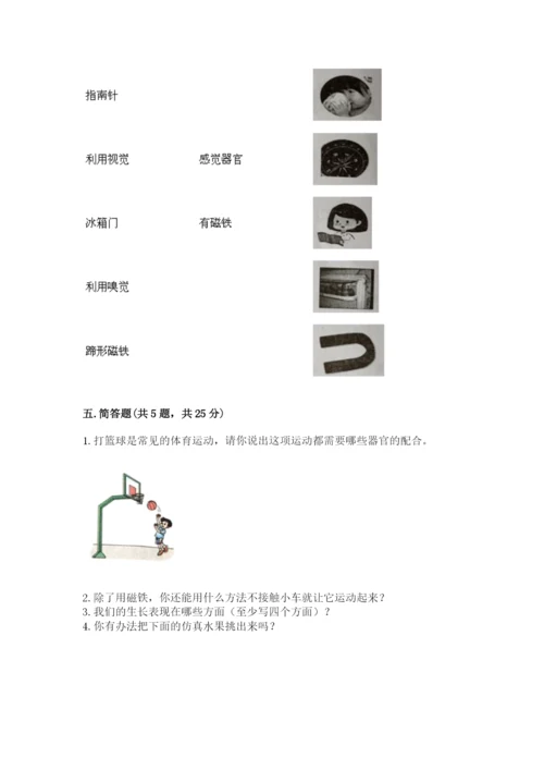 教科版二年级下册科学期末测试卷附完整答案（精选题）.docx