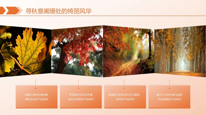 橙色简约风枫叶图文页