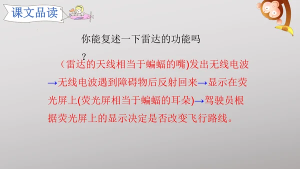 6 夜间飞行的秘密   课件
