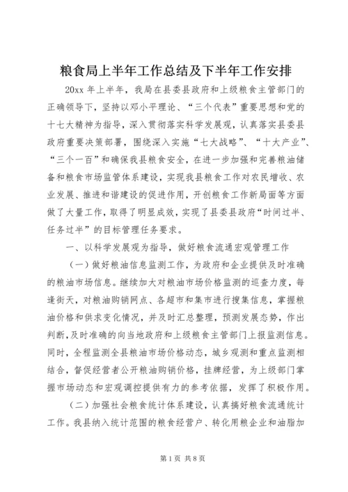 粮食局上半年工作总结及下半年工作安排精编.docx