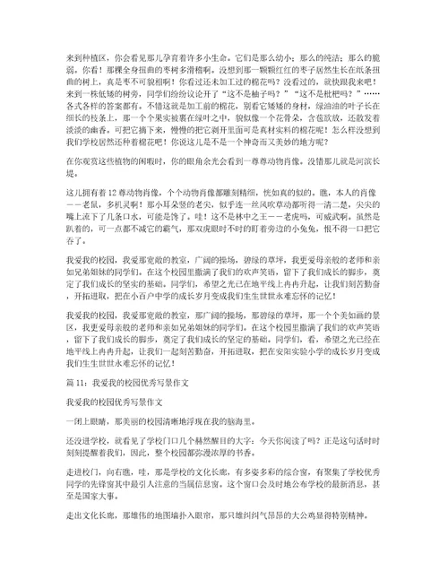 我爱我的校园小学写景作文