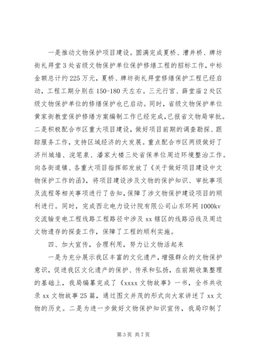 文物局XX年上半年工作总结及下半年工作计划.docx