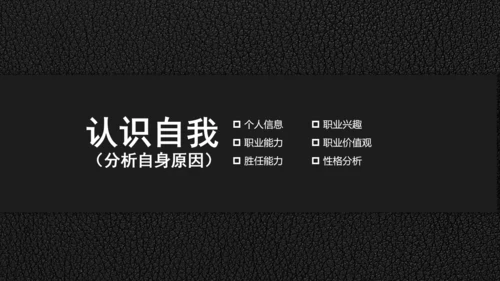 精品背景大学生职业生涯规划PPT
