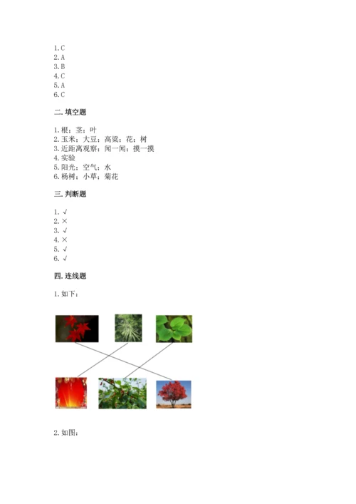 教科版科学一年级上册第一单元《植物》测试卷附答案【综合卷】.docx