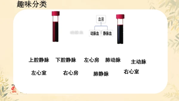 初中生物学>人教版（新课程标准）七年级下册4.4.3 输送血液的泵──心脏课件(共23张PPT)