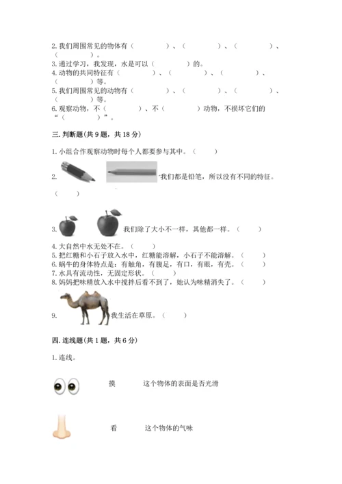 教科版一年级下册科学期末测试卷【考点精练】.docx