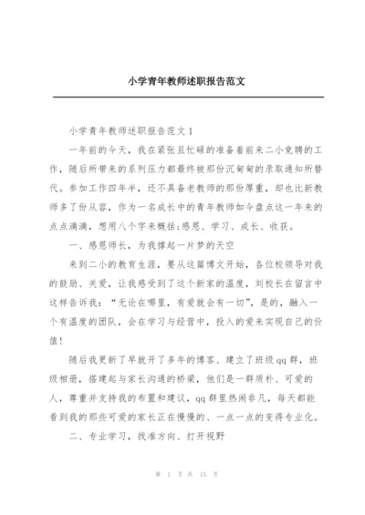 小学青年教师述职报告范文.docx