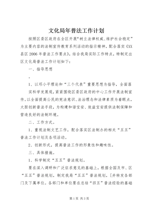 文化局年普法工作计划 (5).docx