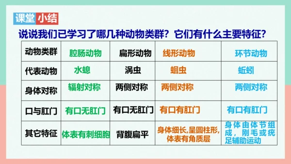 5.1.2线形动物和环节动物课件-人教版生物八年级上册(共47张PPT)