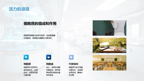 生命之源：细胞揭秘