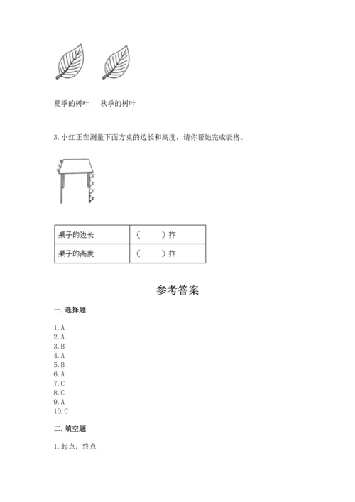 教科版科学一年级上册期末测试卷精品【a卷】.docx