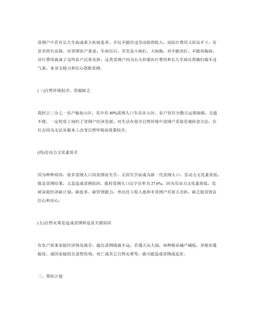 村脱贫实施专业方案.docx