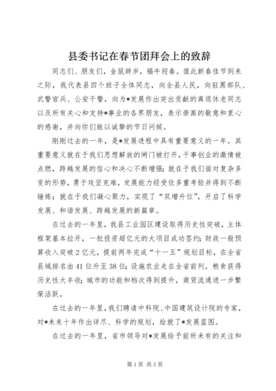 县委书记在春节团拜会上的致辞.docx