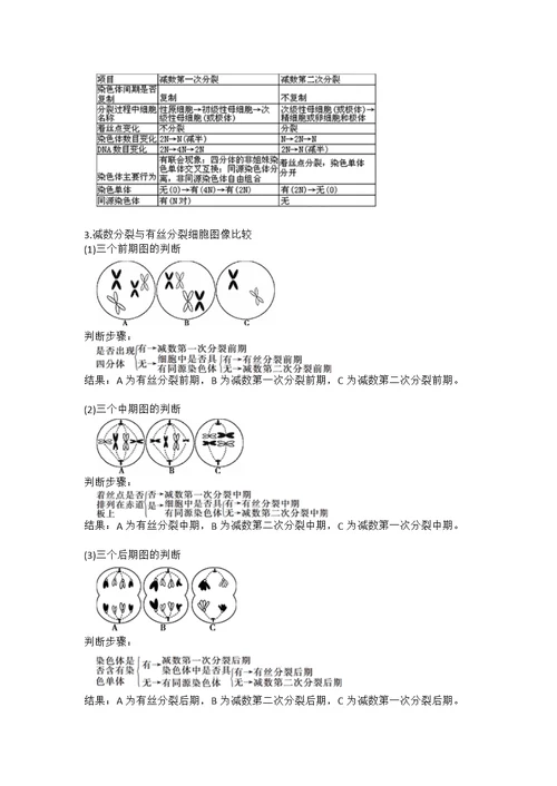 专题20 减数分裂和受精过程