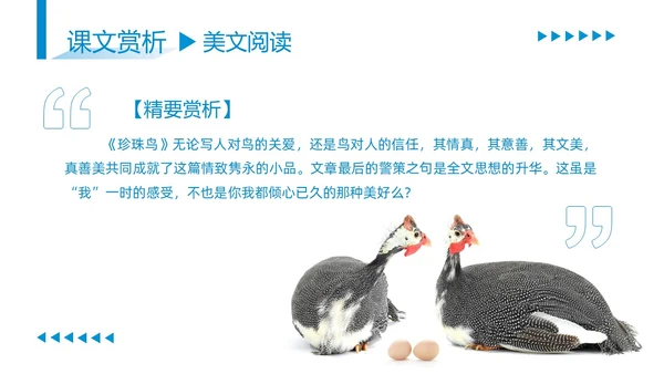 蓝色商务简约古希腊的石头高中课本PPT模板