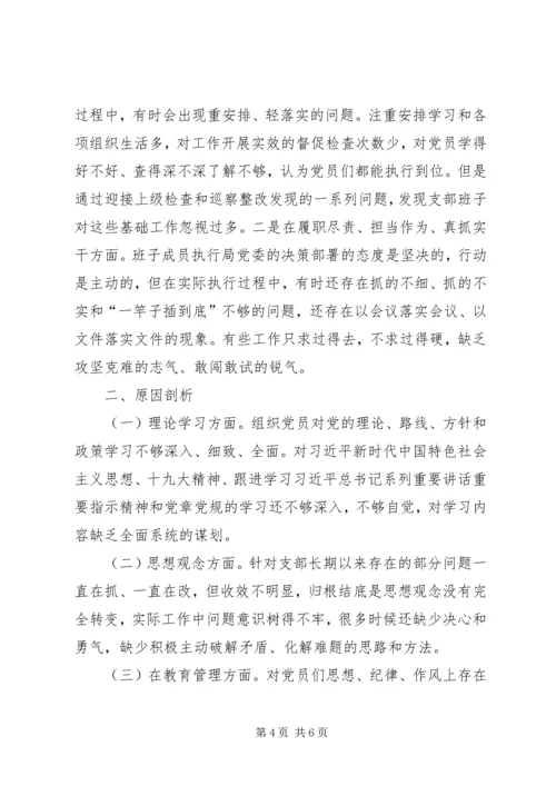 支部班子组织生活会检视剖析材料.docx