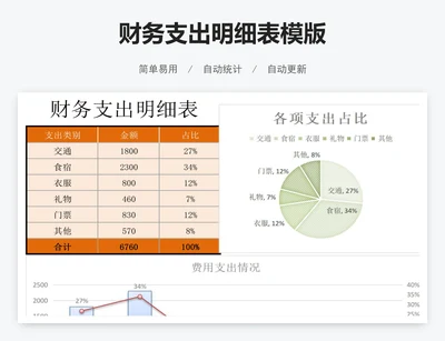 财务支出明细表模版