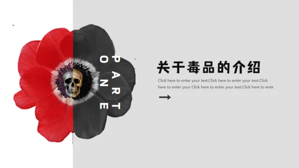 青少年禁毒宣传安全教育通用PPT模板