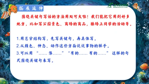 18.富饶的西沙群岛  课件