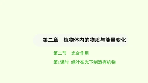 第三单元-第二章-第二节-光合作用-第1课时 绿叶在光下制造有机物课件-2024-2025学年七年级