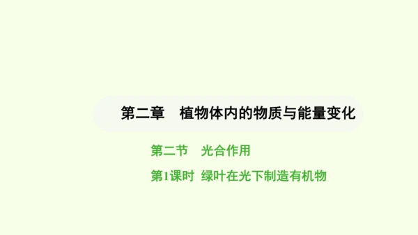 第三单元-第二章-第二节-光合作用-第1课时 绿叶在光下制造有机物课件-2024-2025学年七年级