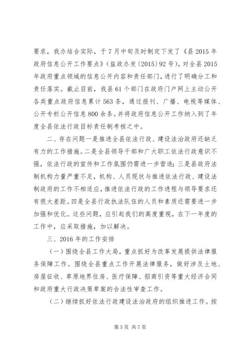 乡镇法制办年度工作总结及工作安排.docx