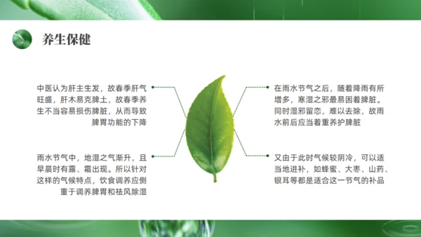 雨水绿色露水背景通用PPT模板