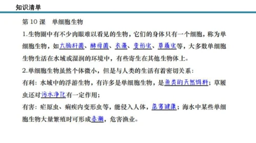 人教版生物七年级上册第一单元《生物与细胞》单元复习课件(共53张PPT)