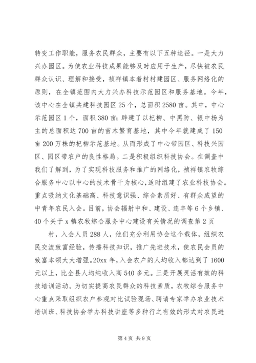 关于X镇农牧综合服务中心建设有关情况的调查.docx