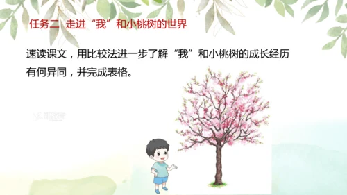第19课 一棵小桃树 课件(共24张PPT)