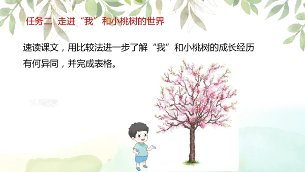 第19课 一棵小桃树 课件(共24张PPT)