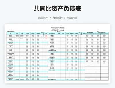 共同比资产负债表