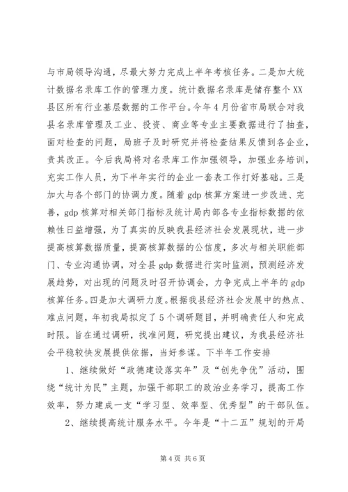统计工作半年度总结及安排.docx