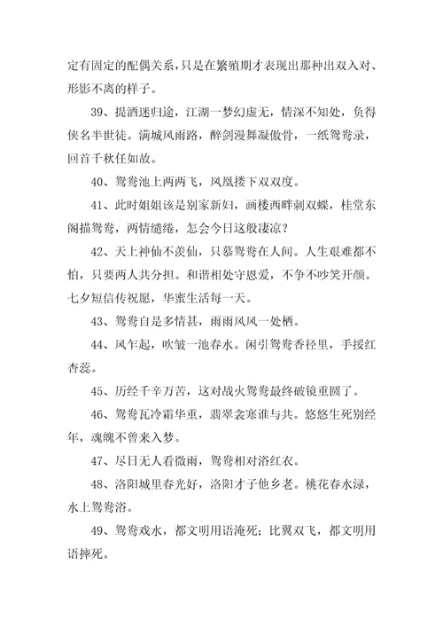 鸳鸯的解释和造句精彩2篇