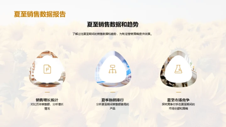 夏至营销战略解析