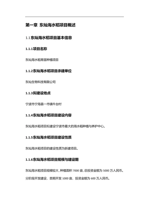 东灿海上水稻项目商业计划书.docx