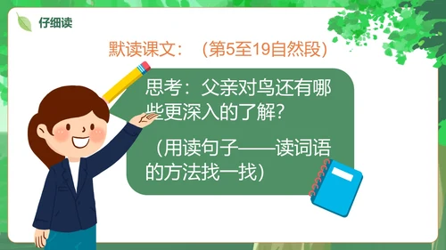部编版三年级上册《父亲树林和鸟》课件PPT模板