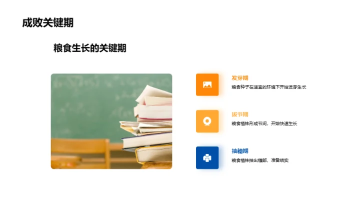 立秋季节与粮食种植