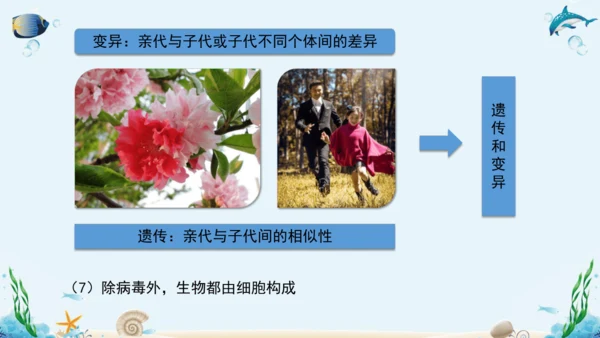 1.1《认识生物》复习课件(18张PPT)