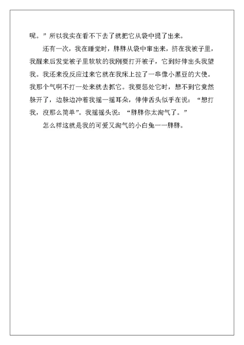 2022年小白兔写物的作文合集6篇