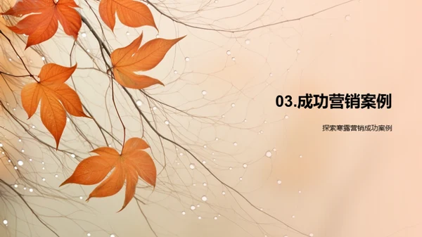 寒露营销策略
