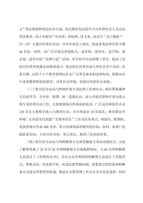 乡镇社会治安综合治理宣传月活动工作总结