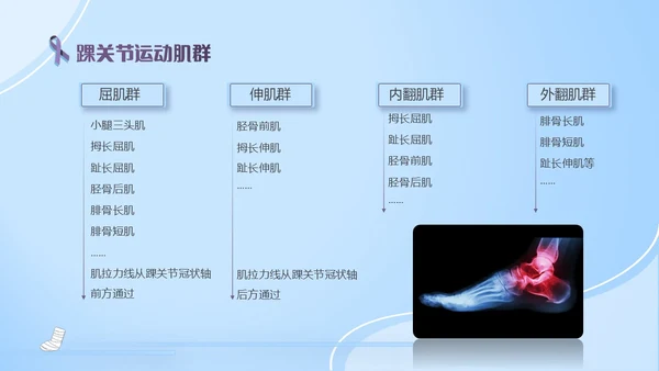 蓝紫色医疗风踝关节骨折护理查房护理PPT模板pptx