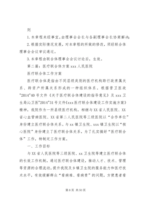 联合体试点工作方案.docx