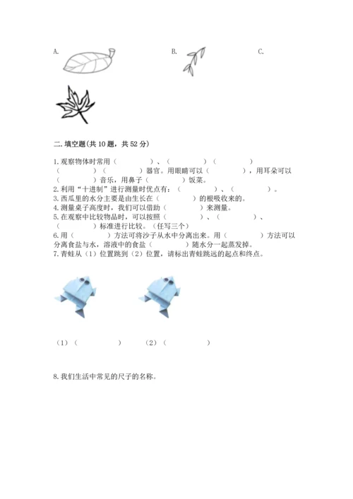 教科版科学一年级上册期末测试卷（全国通用）.docx